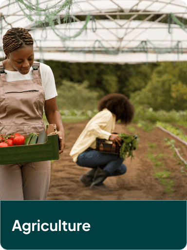 Agriculture sector