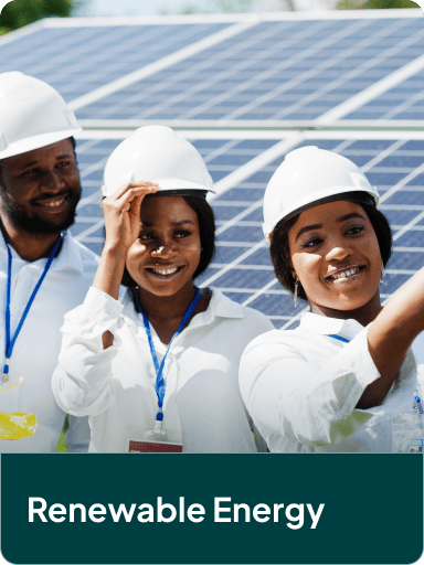 Renewable energy sector