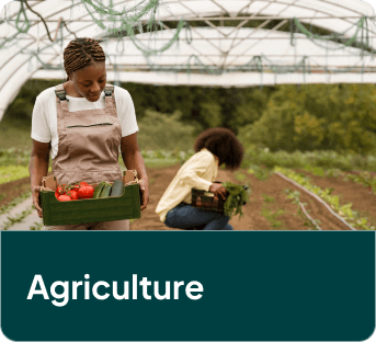 Agriculture sector